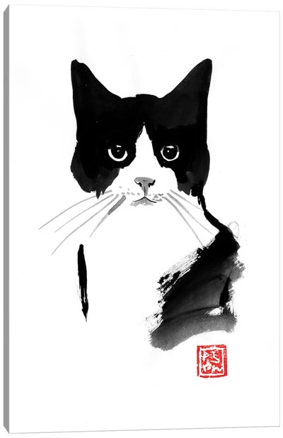 Stray Cat Canvas Art Print - Péchane
