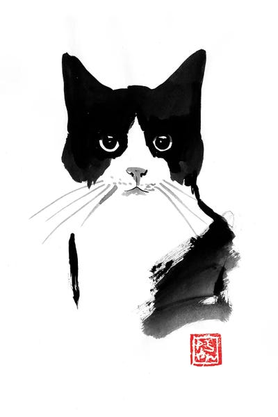 Black & White & Red: Stray Cat by Péchane