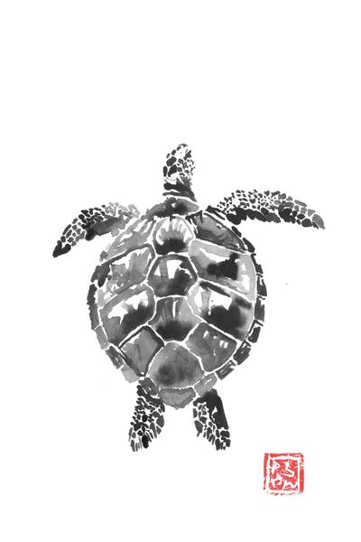 Turtles: Tortoise by Péchane