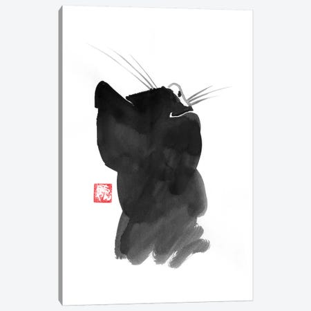 Cat’s Back I Canvas Print #PCN24} by Péchane Canvas Art