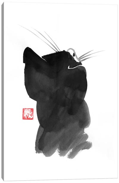 Cat’s Back I Canvas Art Print - Gray Art