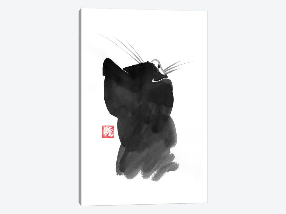 Cat’s Back I by Péchane 1-piece Canvas Art Print