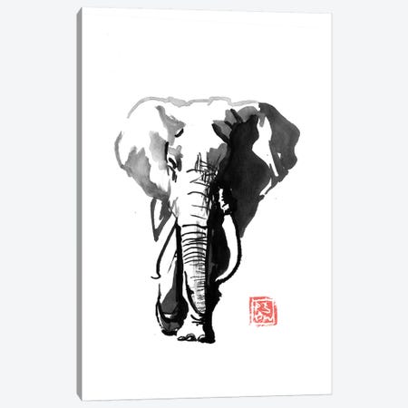 Walking Elephant Canvas Print #PCN253} by Péchane Canvas Art