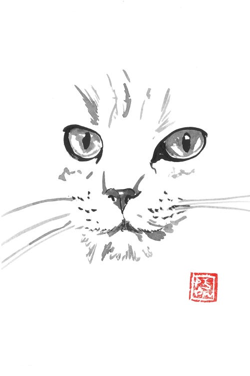 White Cat In White