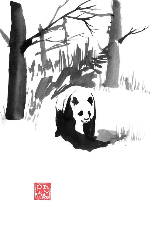 Panda In The Forest