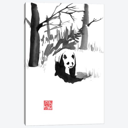 Panda In The Forest Canvas Print #PCN263} by Péchane Canvas Print