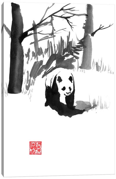 Panda In The Forest Canvas Art Print - Panda Art