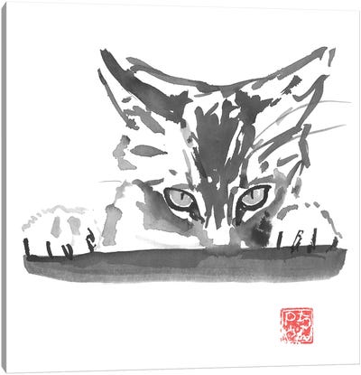 Smelling Cat Canvas Art Print - Péchane