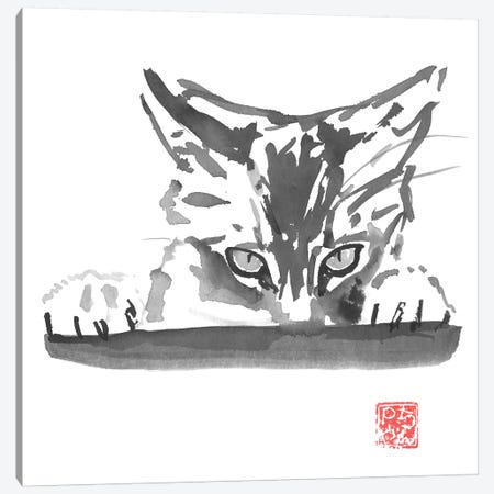 Smelling Cat Canvas Print #PCN265} by Péchane Canvas Wall Art