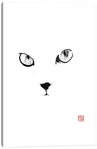 Cat’s Eyes Canvas Art Print - White Art