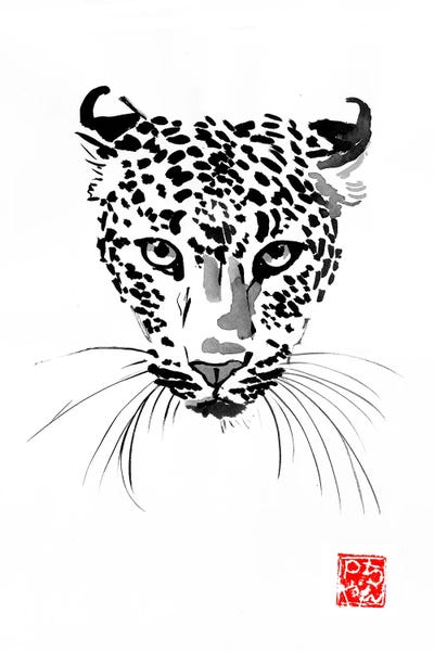 Leopards: Leopard by Péchane