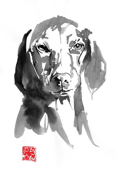 Dogface III by Péchane canvas print