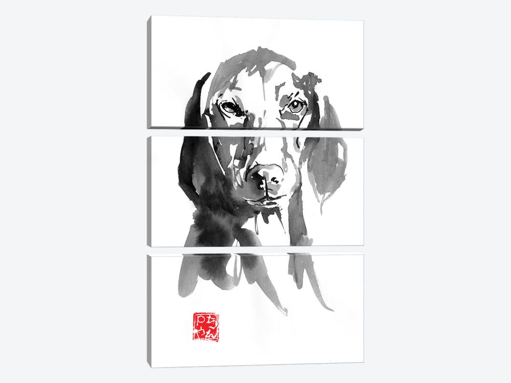 Dogface III by Péchane 3-piece Canvas Print