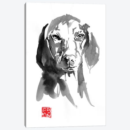 Dogface III Canvas Print #PCN280} by Péchane Art Print