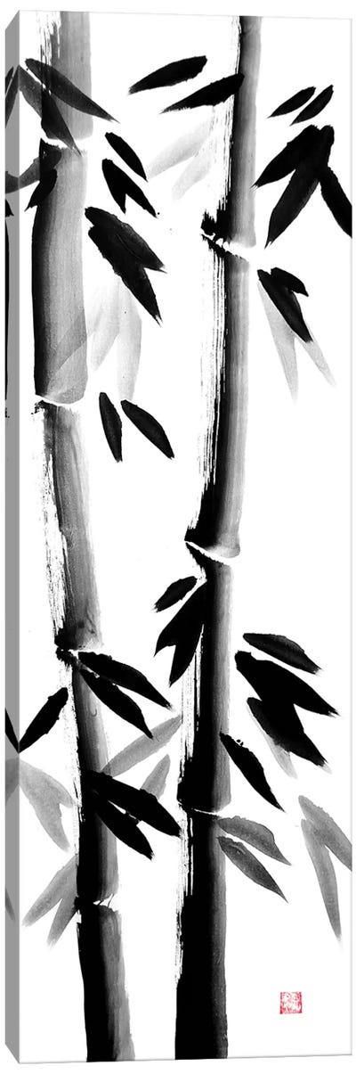Bamboos On Canvas Canvas Art Print - Black & White Decorative Art