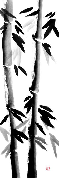 Bamboos On Canvas