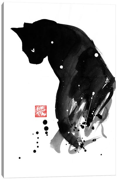 Chat A Tache Canvas Art Print - Black & White Animal Art