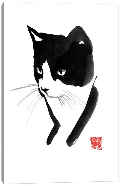 Cat Face Canvas Art Print - Péchane