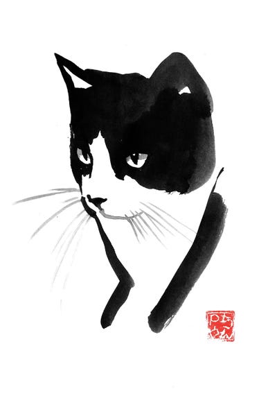 Black & White Drawings & Illustrations: Cat Face by Péchane