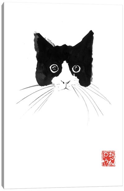 Cat Head Canvas Art Print - Péchane