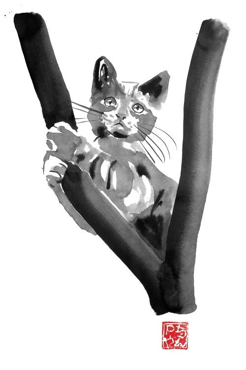 Cat In Tree