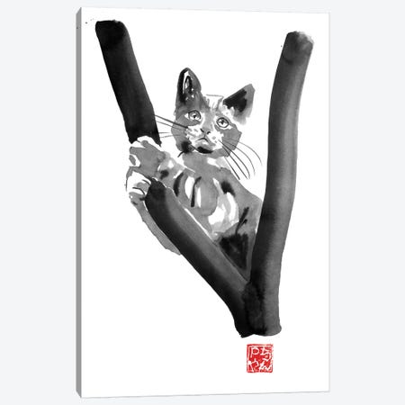 Cat In Tree Canvas Print #PCN292} by Péchane Canvas Wall Art