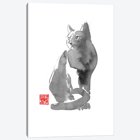 Gray Cat Canvas Print #PCN295} by Péchane Art Print