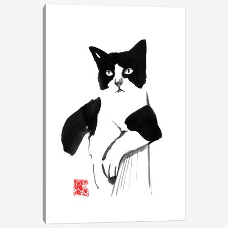 Cool Cat Canvas Print #PCN296} by Péchane Canvas Art Print