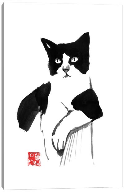 Cool Cat Canvas Art Print - Péchane