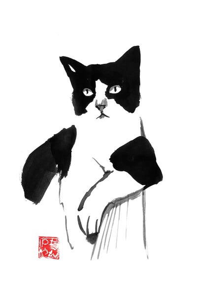 Black & White Drawings & Illustrations: Cool Cat by Péchane