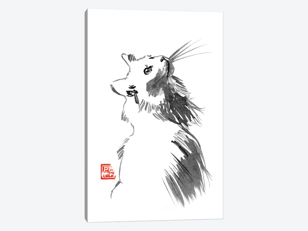Chat Blanc by Péchane 1-piece Canvas Wall Art