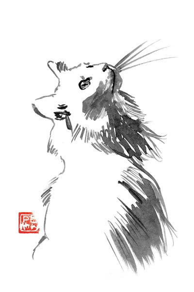Black & White & Red: Chat Blanc by Péchane