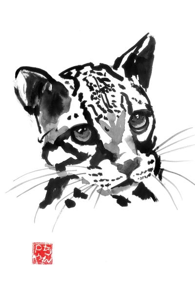 Leopards: Baby Leopard by Péchane