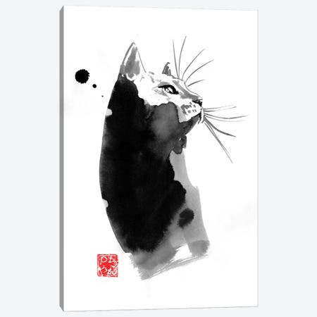 Spot Cat Canvas Print #PCN307} by Péchane Art Print