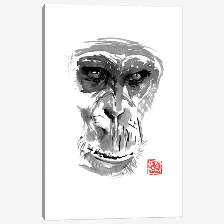 Chimpanzee Canvas Print #PCN30} by Péchane Canvas Wall Art