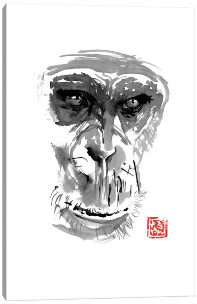 Chimpanzee Canvas Art Print - Gorilla Art