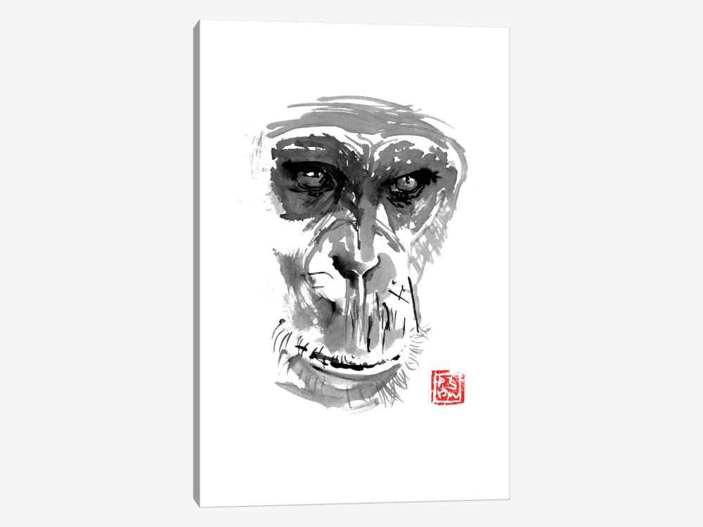 Chimpanzee by Péchane 1-piece Canvas Wall Art