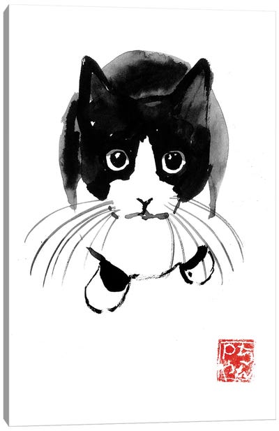 Above Copie (2) Canvas Art Print - Snowshoe Cat Art