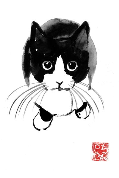 Snowshoes: Above Copie (2) by Péchane