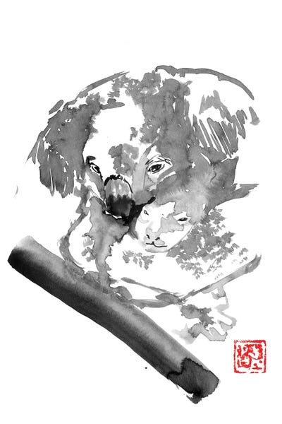 Koalas: Koala IV by Péchane