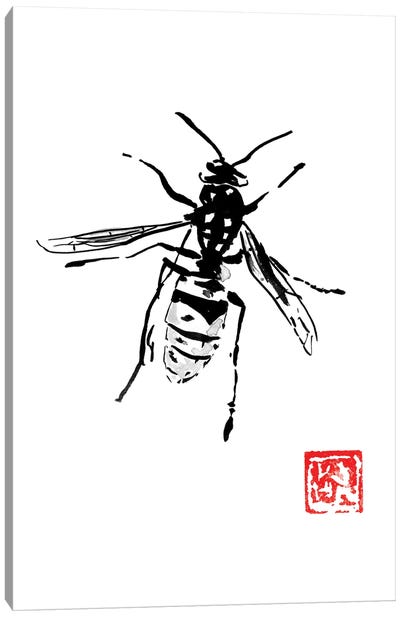 Wasp Canvas Art Print
