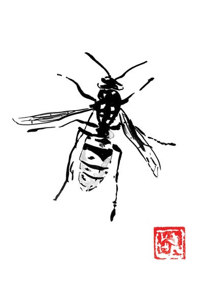 Wasp