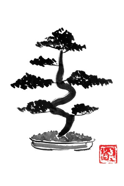 Black & White & Red: Bonzai by Péchane