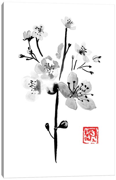 Sakura Canvas Art Print - Japandi