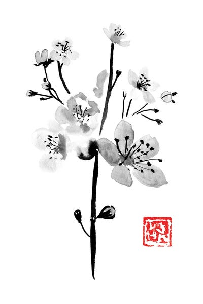 Black & White Florals: Sakura by Péchane