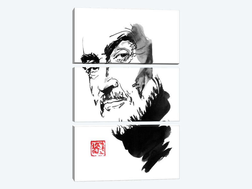 Sean Connery by Péchane 3-piece Canvas Wall Art