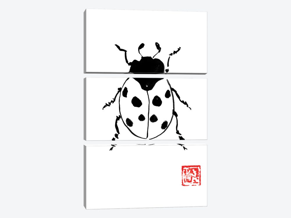 Ladybug by Péchane 3-piece Canvas Artwork