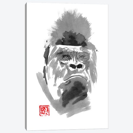 Concerned Gorilla Canvas Print #PCN360} by Péchane Canvas Artwork