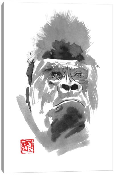 Concerned Gorilla Canvas Art Print - Gorilla Art