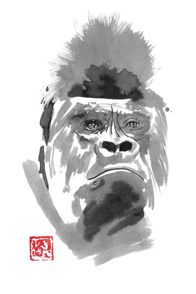Gorillas: Concerned Gorilla by Péchane